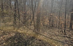 1204 Lake Breeze Drive, Myrtle, MS 38650