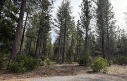 01 Kirby Court, Burney, CA 96013