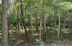 Gate 3 Lot 31, CLEAR FORK, VA 24314