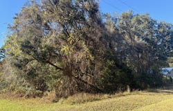 126 RAMSEY Drive, Melrose, FL 32666