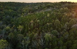 88 Persimmon Ridge Road, Carlisle, KY 40311