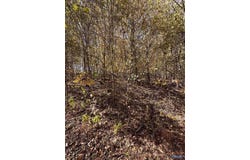 4622 Legacy Preserve Way SE, Brownsboro, AL 35741