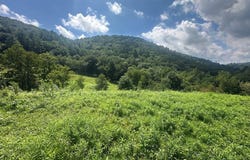 Fox Creek Rd lot: 0, Mouth of Wilson, VA 24363