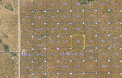 Van Horn, TX 79855
