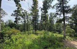 5786 St Rt 781, Peebles, OH 45660