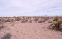 4448 S Topaz Road, Golden Valley, AZ 86413