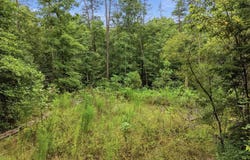 574 River Rd, Crossville, TN 38572