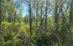 Townline Road, Marcellus, NY 13108