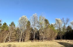 Mack Road lot: 3, Nixa, MO 65714