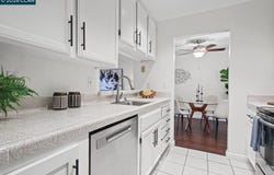 39843 Cedar Blvd, Newark, CA 94560