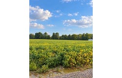 Norwalk Road, Kimbolton, OH 43749