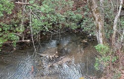 2000 Street Place Loop, Monterey, TN 38574