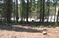 2362 Pioneer Trail, Fraser, CO 80442