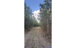 Loman Road, Meherrin, VA 23954