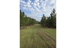 Oak Grove Road, Pine Mountain, GA 31822