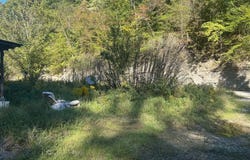 885 State Hwy 581, Thealka, KY 41240