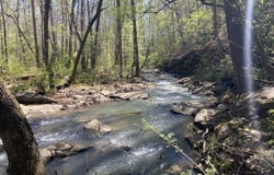 county 1171, Cullman, AL 35057