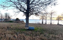 Grapevine Ave, Logansport, LA 71049