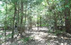 21-TBD Dogwood Dr, Murchison, TX 75778
