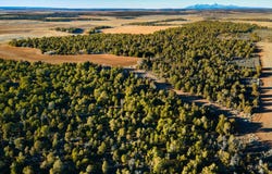 175 E Lockerby Rd, Monticello, UT 84535