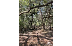 9847 S County Road 99, Lillian, AL 36549