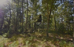 Whitney Street, Baldwin, MI 49304