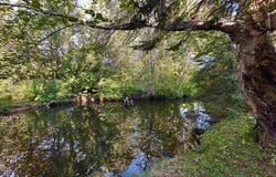 1375 Mangum Road, Marquette, MI 49855