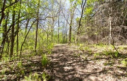 Northland Trail, Lindstrom, MN 55045