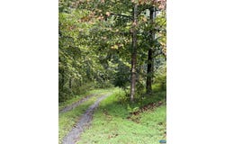 10688 THOMAS NELSON HWY, LOVINGSTON, VA 22949