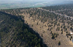 Pinecrest Drive, Prineville, OR 97754