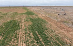 3 CR 4354, Munday, TX 76371