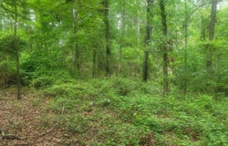 1429 Casey Creek rd, Chesnee, SC 29323