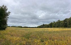 Melody Street, Braham, MN 55006