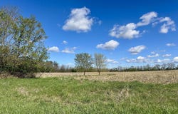 BEAR LAKE Road, MANAWA, WI 54949