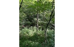 9999 Glade Branch, Manchester, KY 40962