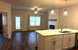 65 Village Court, Cleveland, GA 30528