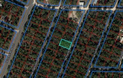NE 154TH Terrace, WILLISTON, FL 32696