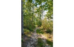 Mountain Hall Road, Crewe, VA 23930