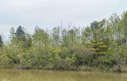 Michigan Avenue, Au Gres, MI 48703