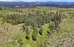 Timberline Heights, Parcel 2, Weippe, ID 83553
