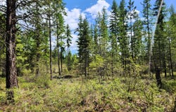 3669 E JUMPOFF Rd, VALLEY, WA 99181