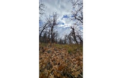 138 E Oak Ridge Drive, Mount Pleasant, UT 84647