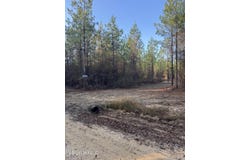 Pat Hickman Road, Perkinston, MS 39573