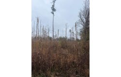 Jack Road, Braxton, MS 39044