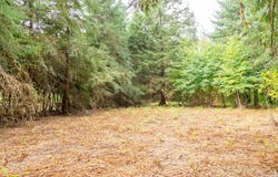 Donald Rd NE, Aurora, OR 97002