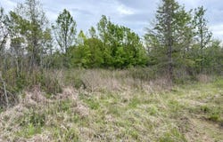 Dardanelle, AR 72834