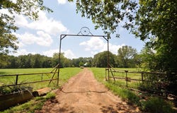 6644 Cr 4020, TIMPSON, TX 75975