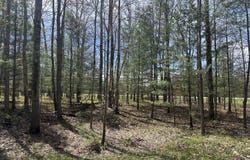 S Shepperd Road, Branch, MI 49402