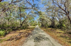 7252 SONIA Avenue, WEBSTER, FL 33597