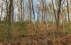 Ivy Log Rd lot: 9, MURPHY, NC 28906